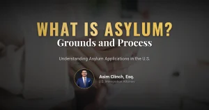 What is an Asylum Application? What are the Reasons for It?