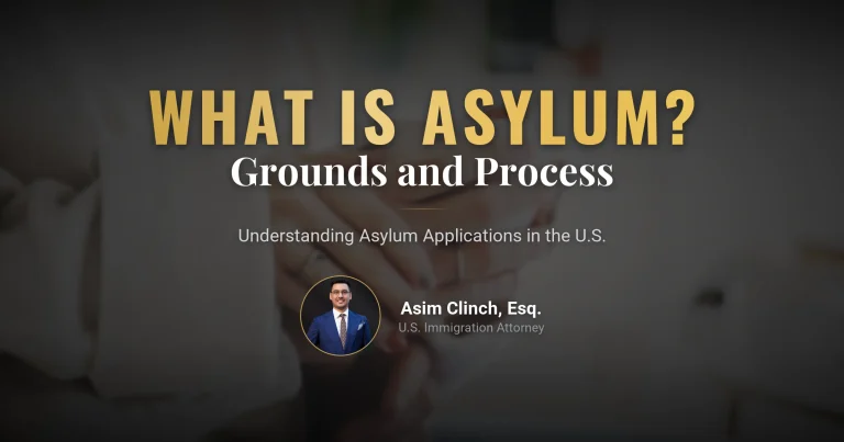 What is an Asylum Application? What are the Reasons for It?