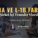 L1 Vizesi Nedir? Şirket İçi Transfer ve L-1A, L-1B Vizesi Farkları