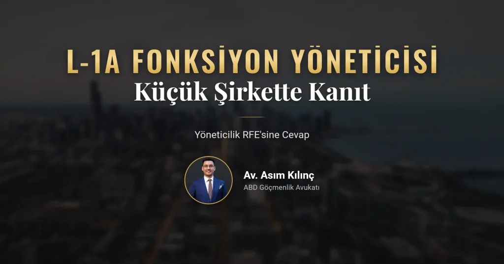 L-1A fonksiyon yöneticisi için organizasyon şeması