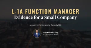 Organization chart for an L-1A function manager case