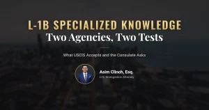 L-1B specialized knowledge agency standards
