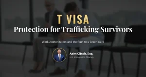 T visa protection and application documents